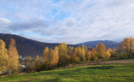 Котедж PERFECT