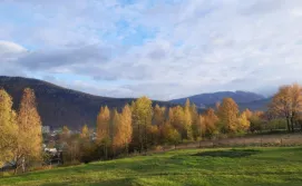 Котедж PERFECT