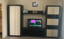 Квартира 1 кімнатна (Мукачівська 48а)