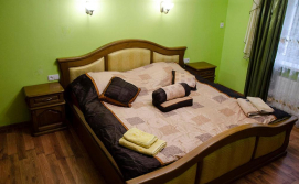 Приватна садиба У Стрия