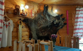 Готель колиба "Колорит"