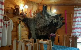 Готель колиба "Колорит"