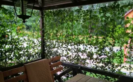 Міні-готель Закрут