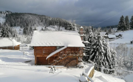 Приватна садиба "Лісова Ягода"