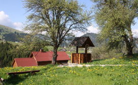 Приватна садиба Полонина