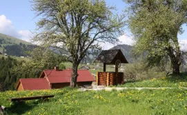 Приватна садиба Полонина