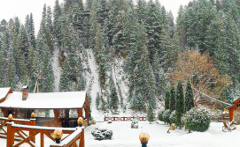 Готель Форест Хаус