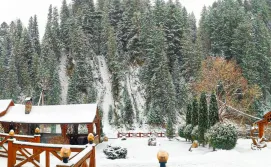 Готель Форест Хаус