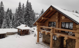 Приватна садиба Дикий зруб