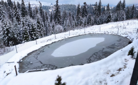 Баня та чани котеджів Цімбори