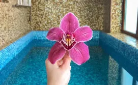 Приватна садиба Карпатська Казка