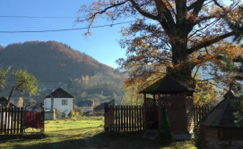 Котедж ТисаБуркут