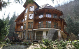 Готель Дикий мед