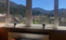 Приватна садиба Диво квітка