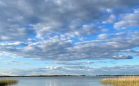 Будиночок дерев'яний на озері в с. Соловичі