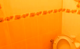 Гостьовий будинок "У Миколи"