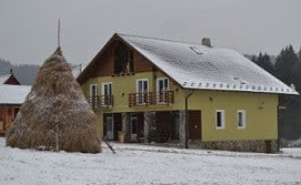 Вилла «Боржава»