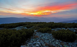 Система гірських хребтів Горгани