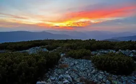 Система гірських хребтів Горгани