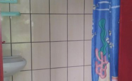 Приватний сектор У Галини