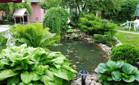 Приватна садиба Феєрія Світязя