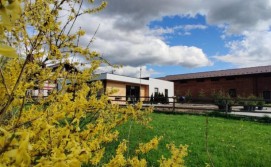 Апартаменти Вудхарт2