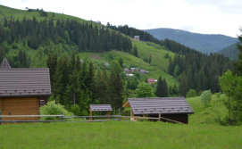 Котедж Пагорб Їжака