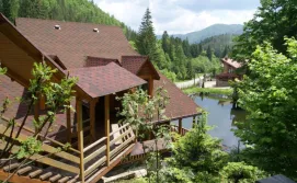 Готель Дикий мед