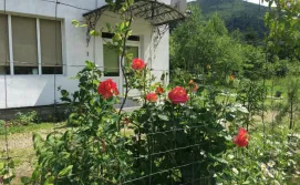 Міні-готель Серпанок