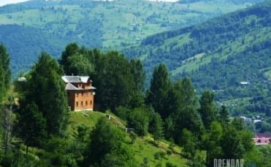 Приватна садиба Лісовичок