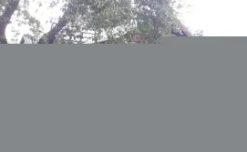 Приватна садиба У Тарнавських