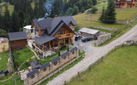 Приватна садиба Дикий зруб