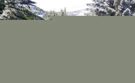 Приватна садиба У Тарнавських