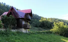 Котедж Карпатське шале