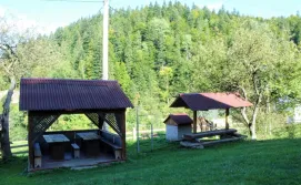 Котедж Карпатське шале