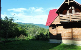 Котедж Карпатське шале