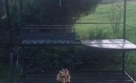 Приватна садиба Небосхил