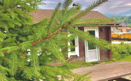 Приватна садиба Тіна