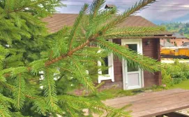 Приватна садиба Тіна