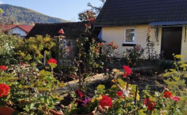 Приватна садиба У вуйка Івана