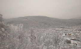 Приватна садиба Лісовичок