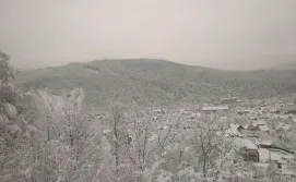 Приватна садиба Лісовичок