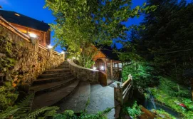 Вілла Карпатська