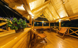 Вілла Карпатська