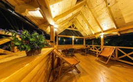 Вілла Карпатська