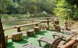 Котедж Зарінок карпат