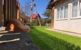 Апартаменти Крашанка