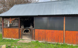 Вілла в Карпатах