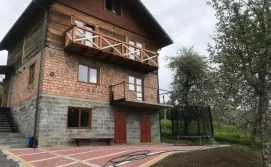 Приватна садиба Золота рибка