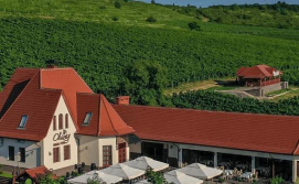 Міні-готель Chizay. Мала гора